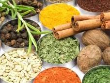 aliments cuisine indienne font maigrir