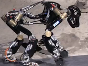 iStruct robot singe DFKI