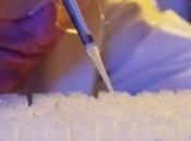 VACCINATION: nanotubes contre virus respiratoire syncytial Nanotechnology