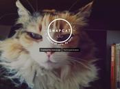 Snapcat, l’application permet chats faire selfies