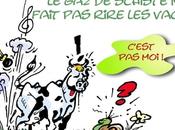 DESSIN PRESSE: schiste, source polémique