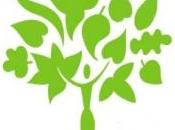 Participation public consultation publique projet d'ordonnance relative mise œuvre principe participation défini l'article Charte l'environnement