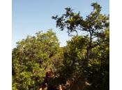 Bien voir pour bien rouler