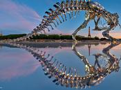 T-Rex géant métal Philippe Pasqua visible dans Paris
