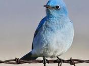 Tweets antisémites Twitter livre données Justice française