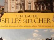 Galerie VAGABONDE Selles cher exposition SYLVIE TEREYGEOL