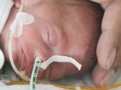 PRÉMATURITÉ: curcumine safran protège poumons bébés American Journal Physiology, Lung Cellular Molecular Physiology