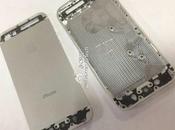 next iPhone aura puce NFC, ainsi qu’un lecteur d’empreinte digitale...