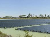 Japon inaugure centrale solaire l’eau