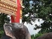 juillet 2013, Khon Kaen: Temple milliers d’éléphants