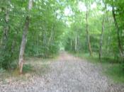 Entre sources plateaux