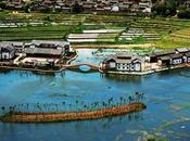 Quel hotel choisir Yunnan?