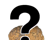 Test votre site Internet répond-il questions essentielles