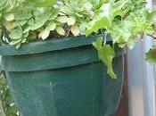 Suspension moche...très moche