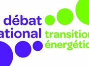 Débat transition énergétique synthèse adoptée