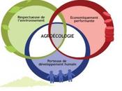 L’agro-écologie fait baisser rendements