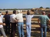 Tauromachie penser global