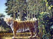 tigre cache dans cette image