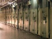 Usage drogues prison