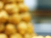 piece montée marion photos