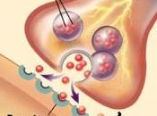 ALZHEIMER, PARKINSON: C1q, protéine vulnérabilité personnes âgées Journal Neuroscience