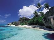 L'Amour dans Plus Beaux Habits/La Chien Fusil