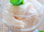 Glace facile sans sorbetière