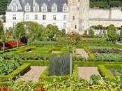 châteaux Loire