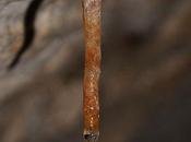 L'IMAGE JOUR: Stalactite, Belfort