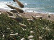 Etre ailleurs deux presque) chez soi...