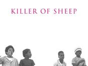 Killer sheep