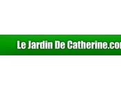 Récupération pour bouture