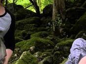 gobe chez frontsidefly