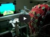 NEURO: vidéo inverse déclin cognitif Nature