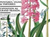 Exposition "Fleurs Roi" Grand Trianon Versailles