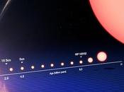 Découverte d’un jumeau solaire plus