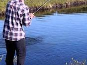 Ombres abba pêche disco