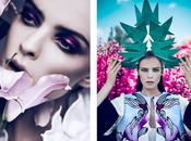 Aleksandra zaborowska dichotomic