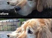 Adobe Photoshop Express iPhone, passe 3.0...