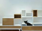 DESIGN belge: Mood-y Gauthier Poulain