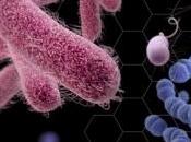 ANTIBIOTIQUES: Elles tuent aussi 23.000 personnes chaque année Etats-Unis
