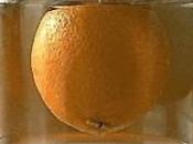 Liqueur d’orange pendu