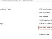 titre caché dans tracklist 20/20 experience