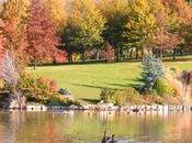 Aujourd'hui c'est l'automne