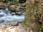 L’IMAGE JOUR L’eau rivière