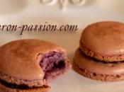 Macarons mûre