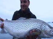 islande, poursuite monstres.