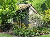 calendrier lunaire jardinier Octobre 2013