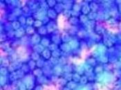 Nouveau processus cicatrisation