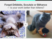 BetterThanKittens.com: graphisme vaut-il mieux chats?